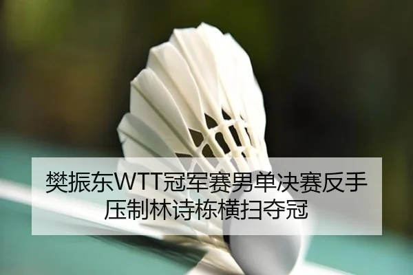 fan-zhen-dong-guan-jun-sai-nan-dan-jue-sai-fan-shou-ya-zhi-lin-shi-dong-heng-sao-duo-guan-3-742.jpg