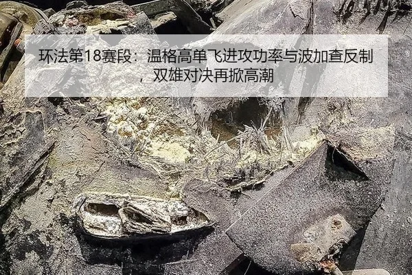 huan-fa-di-sai-duan-wen-ge-gao-dan-fei-jin-gong-gong-lv-yu-bo-jia-cha-fan-zhi-shuang-xiong-dui-jue-zai-xian-gao-chao-3-409.jpg