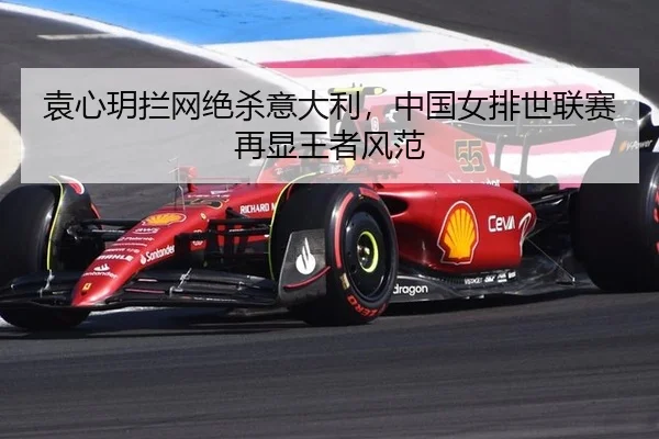 yuan-xin-yue-lan-wang-jue-sha-yi-da-li-zhong-guo-nv-pai-shi-lian-sai-zai-xian-wang-zhe-feng-fan-3-517.jpg