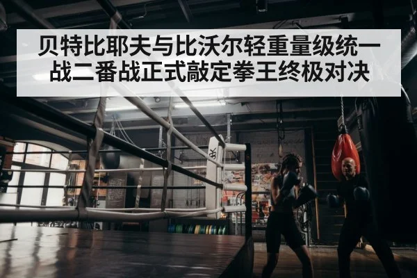 boxer training