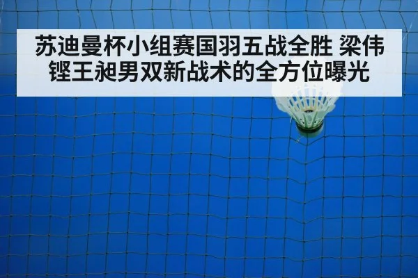 badminton net play
